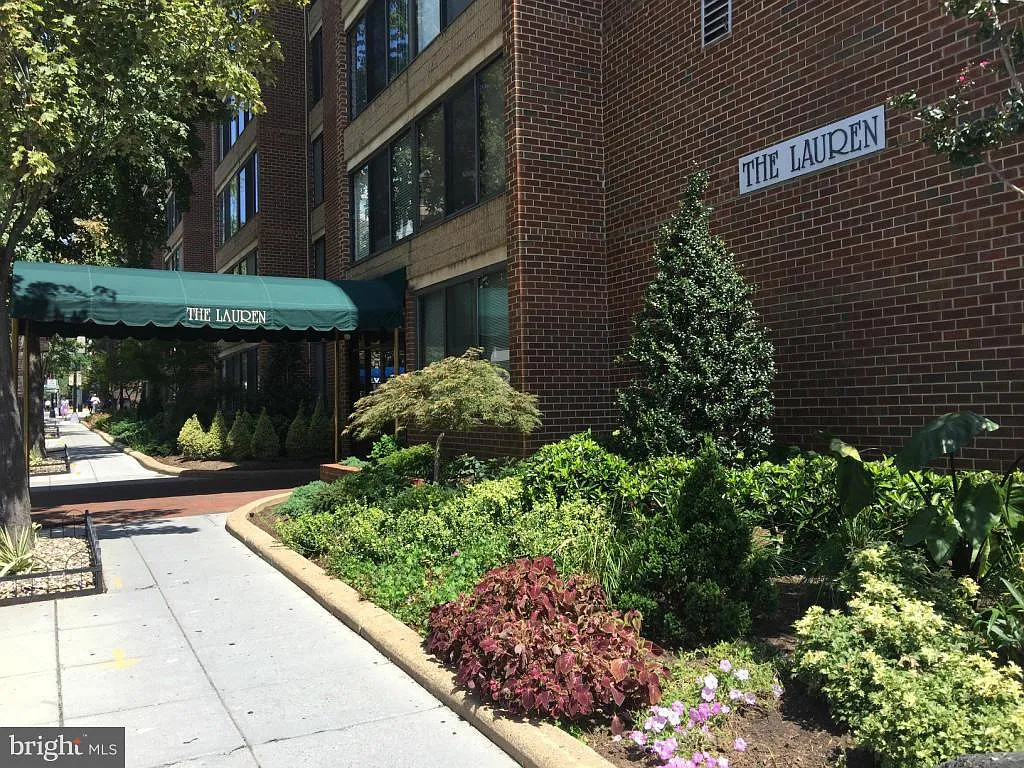 Central — Photo 1