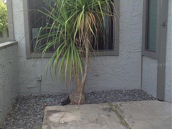 2nd image of 240 Orange Grove Dr Unit 4