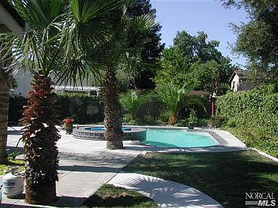 Beautiful in-ground pool/spa