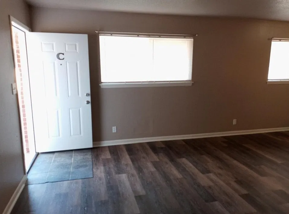 Entrance - living room