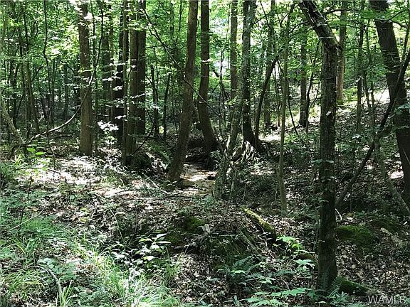 4th image of 0 Hwy 69 S