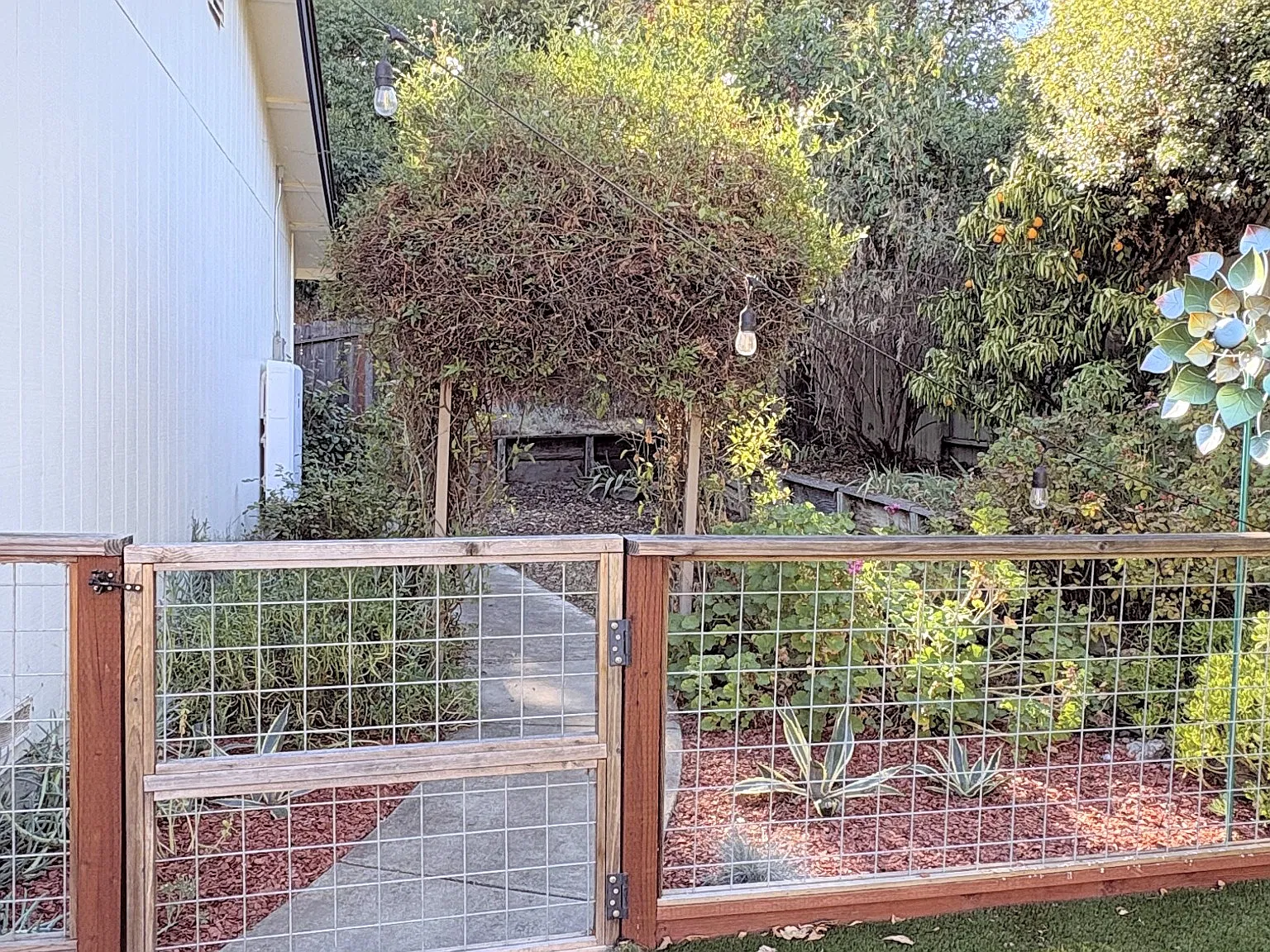 3 bed, 1456 sqft, $3,800 — Photo 3