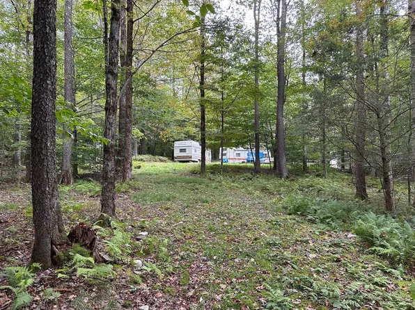 325-399 Maccabee Rd, Roscoe, NY 12776