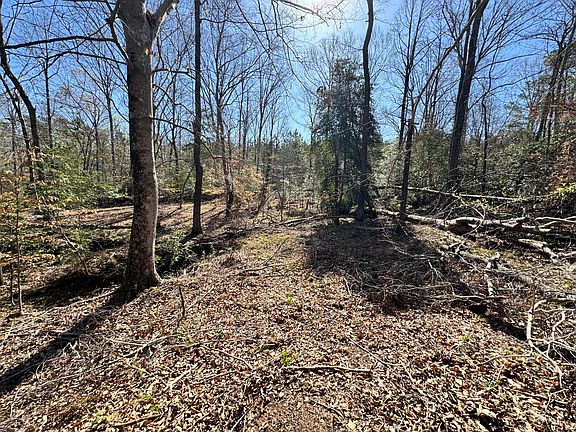 3rd image of 4788 Chamberlain S Ferry Road