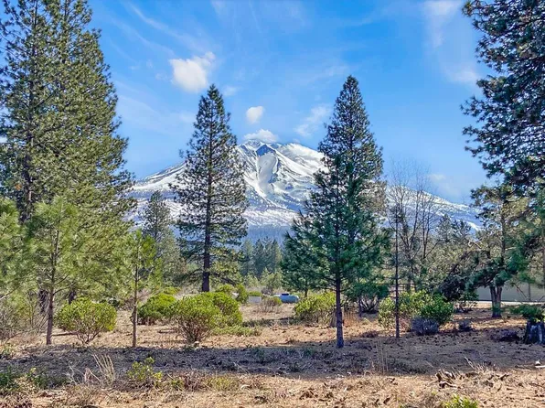 LOT 46 Hidden Meadow Dr, Weed, CA 96094