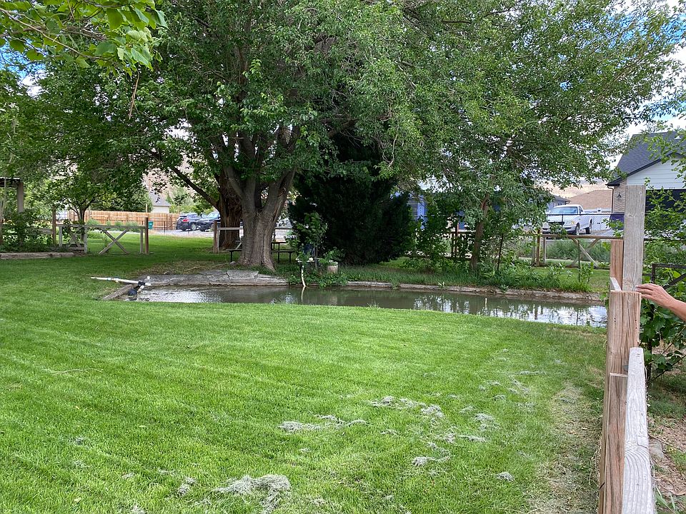 Pond