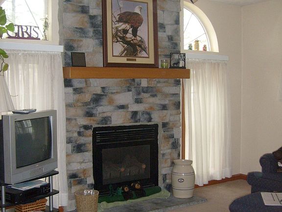 wood burning fireplace