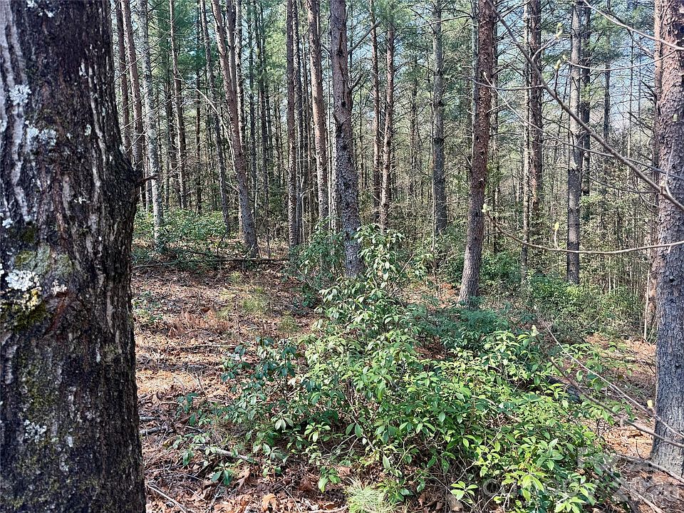 1st image of 2494 Ivy Rays Way #41