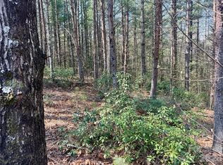 2494 Ivy Rays Way #41, Nebo, NC 28761