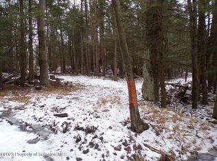 Wilber Rd, Hop Bottom, PA 18824