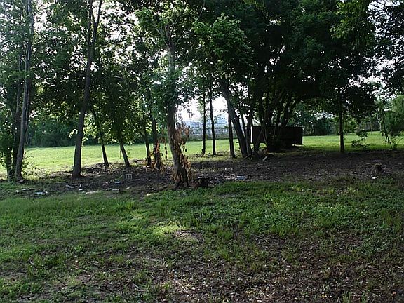 Large trees on throughout the property.