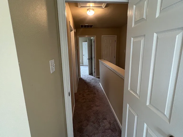 1900 Carrollwood Dr #3 — Photo 34