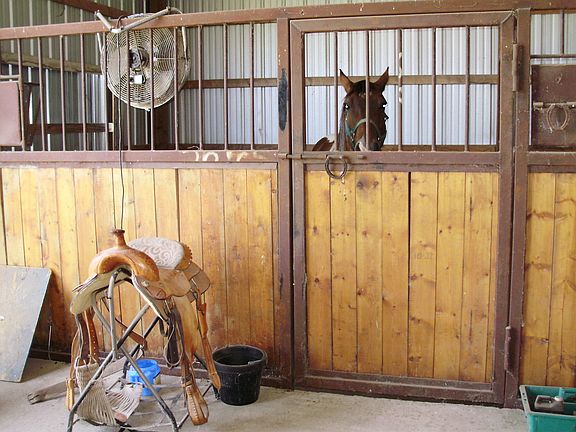 Inside barn
