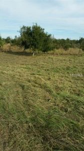 15585 Angus Rd, Polk City, FL, 33868