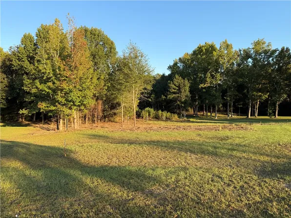 0 Lee Road 166, Opelika, AL 36804