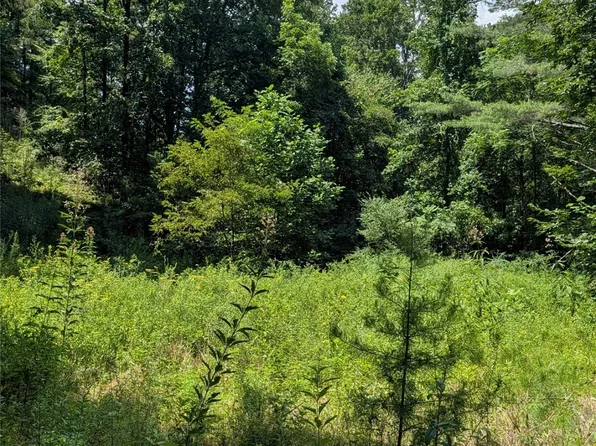 42 Unterga Trail, Sylva, NC 28779