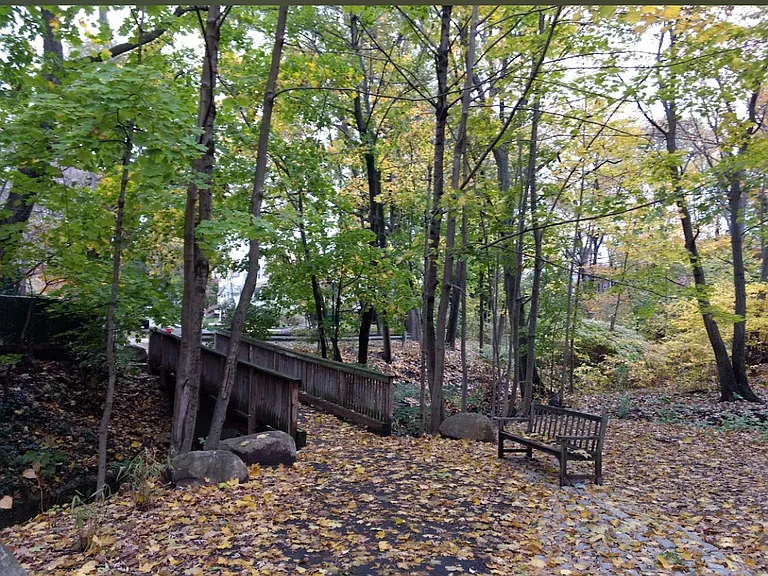 Park steps away from the house