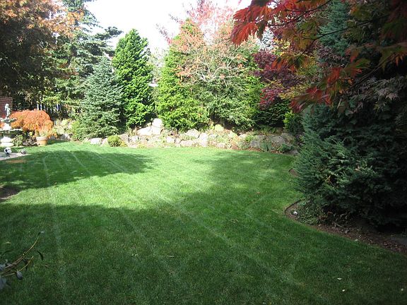 lawn for kids and pets