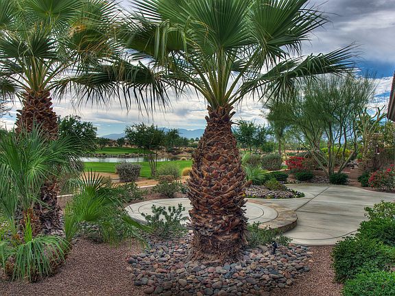 Patio Space Rear Yard