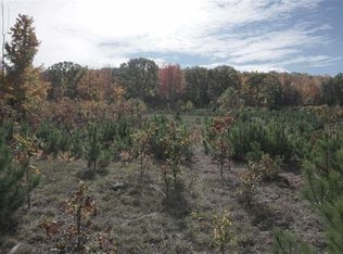 Summit City Rd, Kingsley, MI 49649