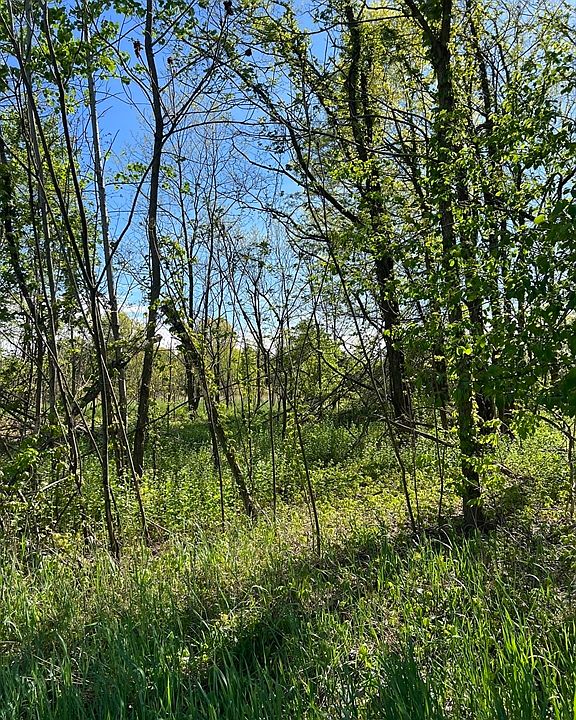 2nd image of 145 Bay Rd