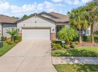 30415 Caravelle Ln, Wesley Chapel, FL 33545