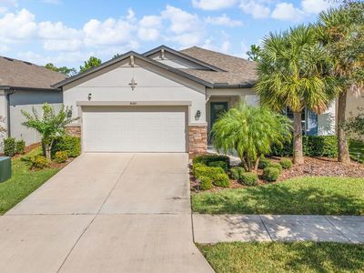 30415 Caravelle Ln, Wesley Chapel, FL, 33545