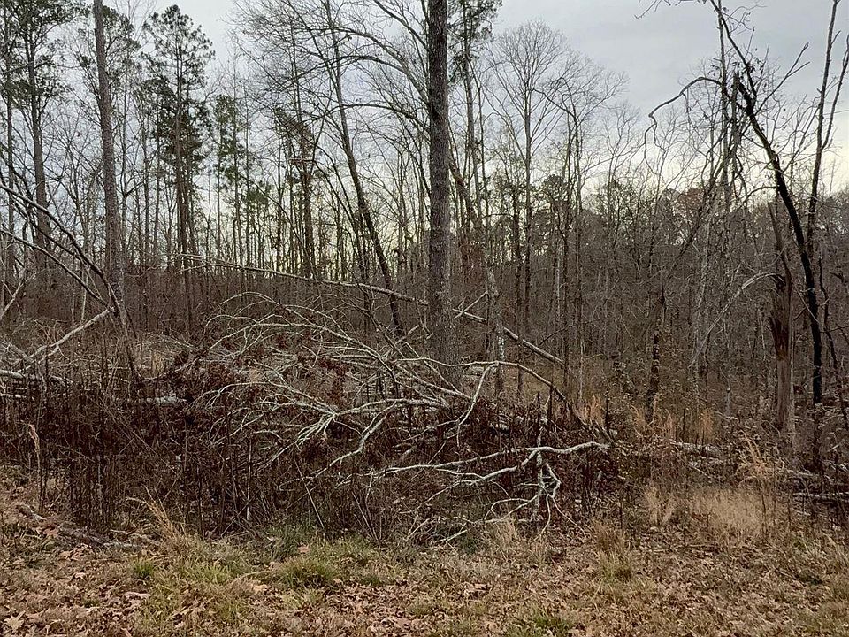 1st image of Rodrigo Ln