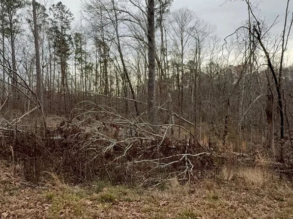 Rodrigo Ln, Hot Springs Village, AR 71909