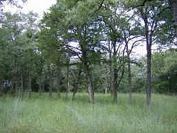 1st image of 154 E Greenway