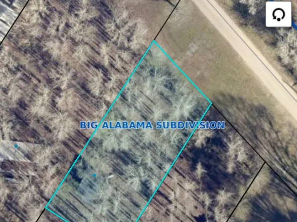 LOT 1 Big Alabama, Lottie, LA 70756
