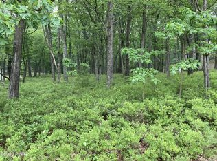 202 Maple Ridge Dr, Hawley, PA 18428