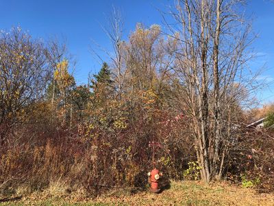S D St, Cheboygan, MI, 49721