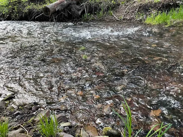 245 Night Hawk Ln, Newport, WA 99156