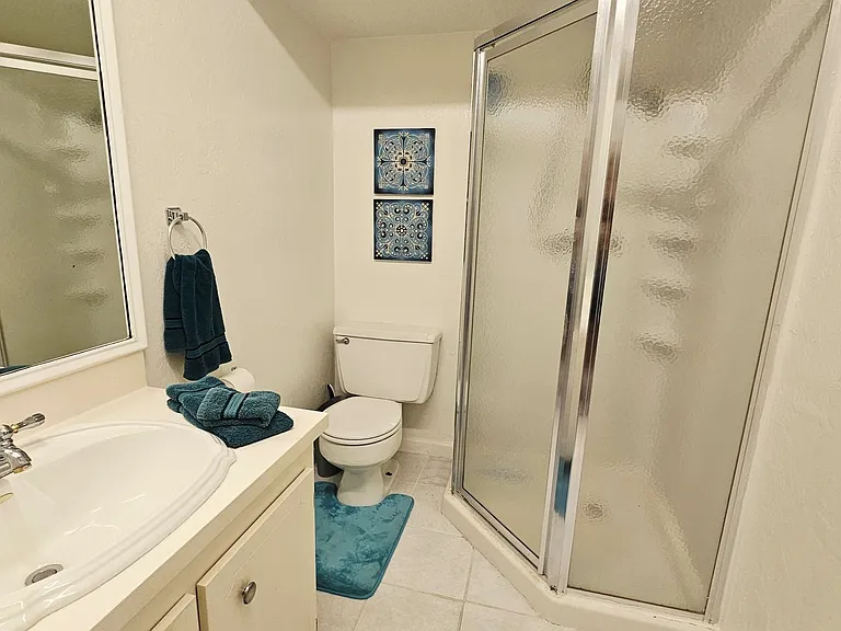 Master bath-walk in shower