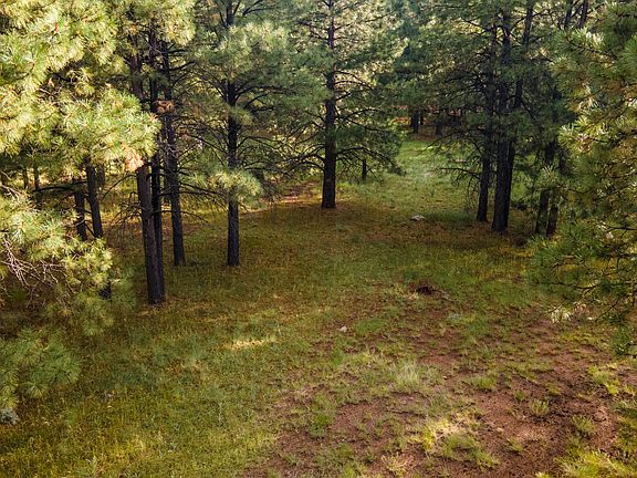 5th image of 2265 Skunk Way #547