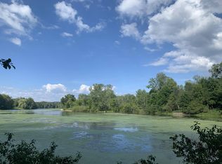 V/l W Vernon Rd, Weidman, MI 48893