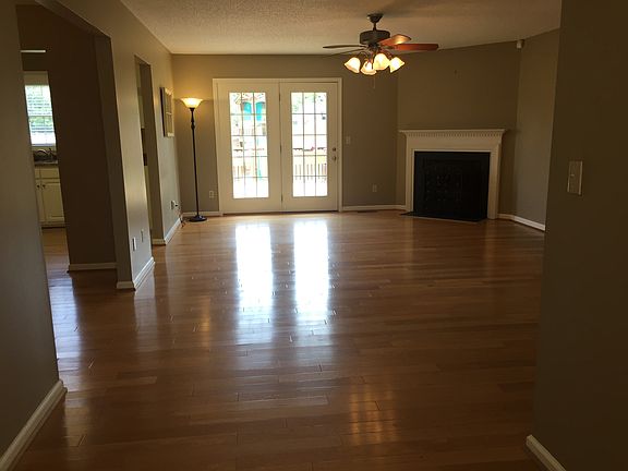 Living room with gas logs