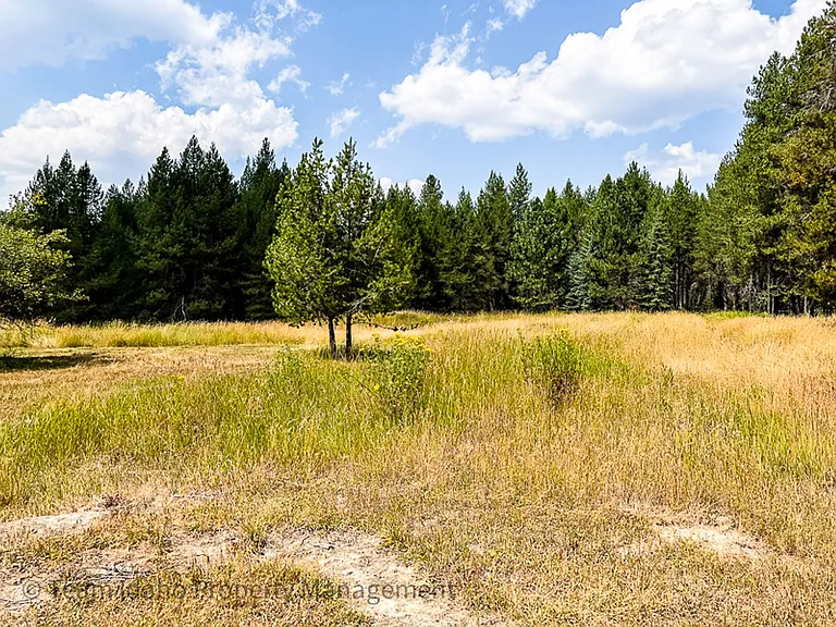 317 Elkhorn Meadows Rd — Photo 12