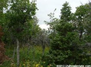 10800 N 12870 E, Mount Pleasant, UT 84647