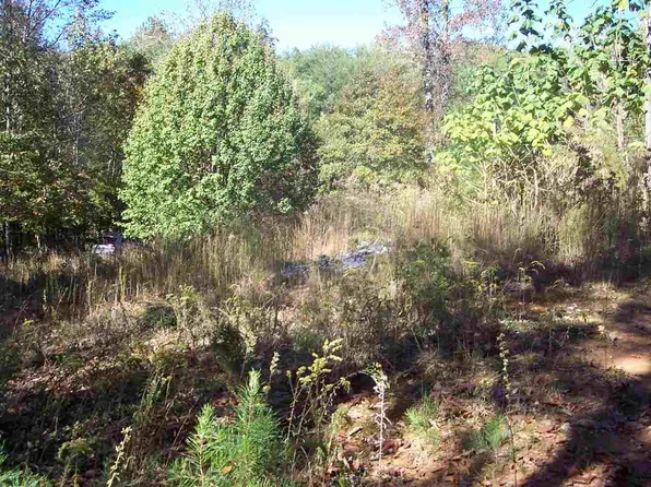 Branch Dr, Newport, TN 37821