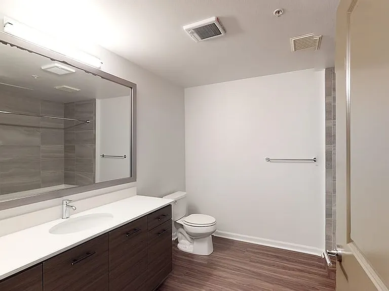 Apartment bathroom with wood-style flooring.