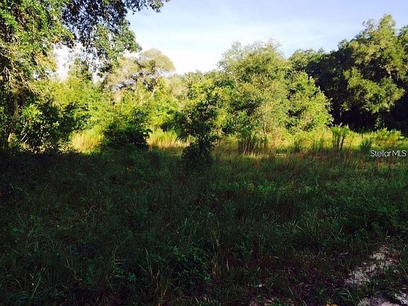 2nd image of 111 Frederick St