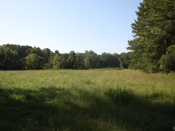NULLA Moe Rd, New Market, AL 35761