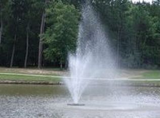 28439 Woodsons Lake Dr, Spring, TX 77386