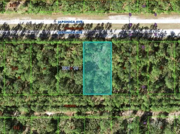 1103 Japonica Ave #21, Indian Lake Estates, FL 33855