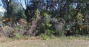 1st image of NE 36th Ave Lot 11