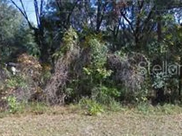 NE 36th Ave Lot 11, Citra, FL 32113
