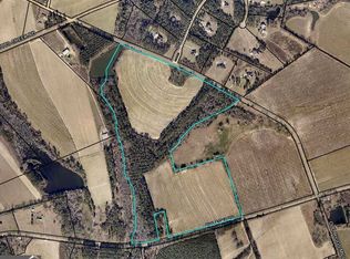 2518 Joe Hodges Rd, Statesboro, GA 30458