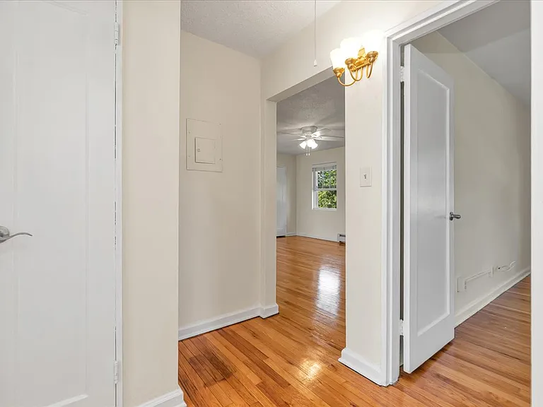 11B W Roselle Ave #11B — Photo 19